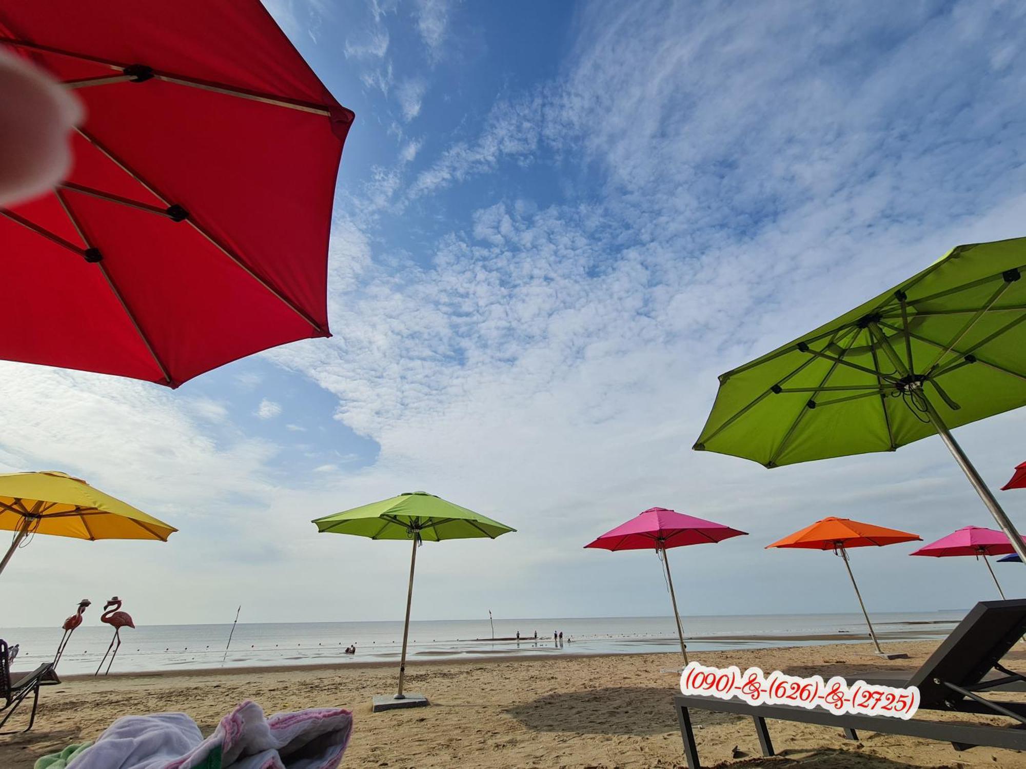 Ib306 Tu Doanh - Flamingo Hai Tien Thanh Hóa Dış mekan fotoğraf